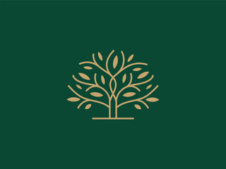 Professional Oak Tree Logo Design