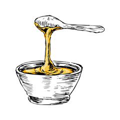 Honey in spoon hand drawn sketch in color