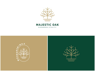 Professional Oak Tree Logo Design