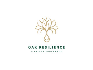 Professional Oak Tree Logo Design