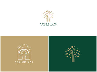 Professional Oak Tree Logo Design