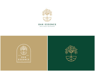 Professional Oak Tree Logo Design