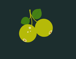 Indian Gooseberry