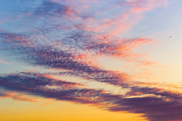 Morning multi-colored, incredibly beautiful sky with birds in the sky! - 752867285