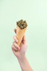Dry buds of medical marijuana with CBD content in a waffle ice cream cone in a woman’s hand.  On a mint green background.  Alternative medical cannabis treatment
