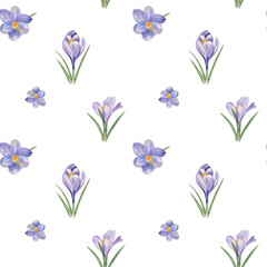 Seamless pattern of wildflowers of different shapes