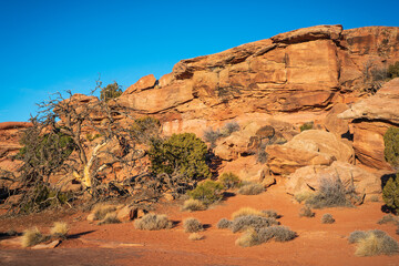 Overlook of the Rugged Landscape at Canyonlands National Park in southeastern Utah