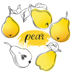 Isolated cut pear fruits. Collection of yellow pear pieces of different shapes isolated on white background