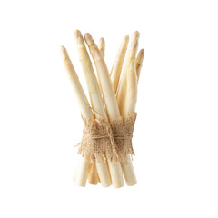 Fresh white asparagus isolated on white background with copy space. Spring vegetables collection.
