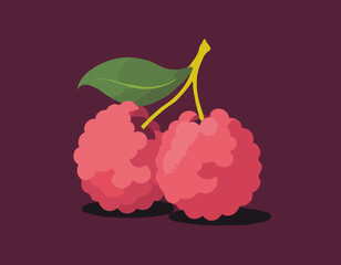 Lychee fruit vector.