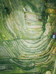 Jatiluwih Rice Terraces, Bali, Indonesia, Drone