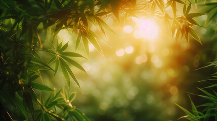 Sunbeams filter through dense bamboo leaves, casting a serene bokeh effect in the background,...