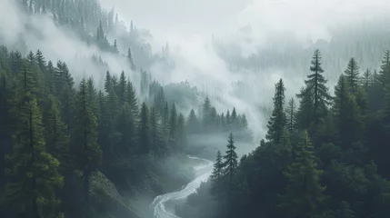 Poster Swamp landscape in the fog. Mysticism, river, trees, forest, humidity, quagmire, quicksand, reeds, nature reserve, mystery, silence, darkness, greenery. Generated by AI © Татьяна Лобачова