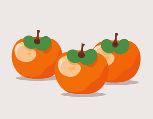  persimmon fruit. Isolated vector illustration of colourful fruit on transparent background.