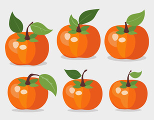  persimmon fruit. Isolated vector illustration of colourful fruit on transparent background.