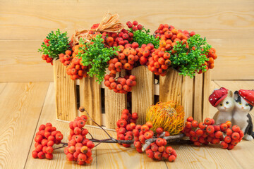 Red rowan berries on a rowan tree. with green leaves. They are in a wooden basket. A rowan tree on...