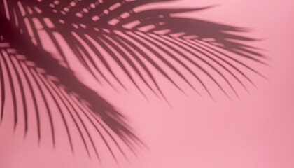 Fototapeta na wymiar shadow from palm leaves at pink background
