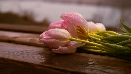 Pink flowers on a bench