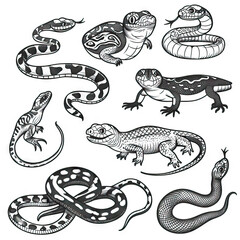 Serpentine Safari - Reptiles and Amphibians of the World. Sticker Collection. Multiple. Vector Icon Illustration. Icon Concept Isolated Premium Vector. Line Art. Black Outline. White Background. 