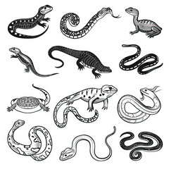 Serpentine Safari - Reptiles and Amphibians of the World. Sticker Collection. Multiple. Vector Icon Illustration. Icon Concept Isolated Premium Vector. Line Art. Black Outline. White Background. 