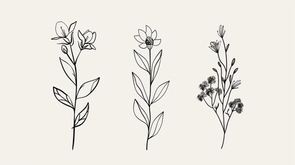 Floral branch and minimalist leaves for logo or tattoo. Hand drawn line wedding herb, elegant wildflowers. Minimal line art drawing for print, cover or wallpaper