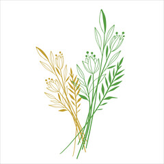 Botanical Black and white Natural Elements vector background