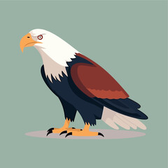 bald eagle flat vector illustration 