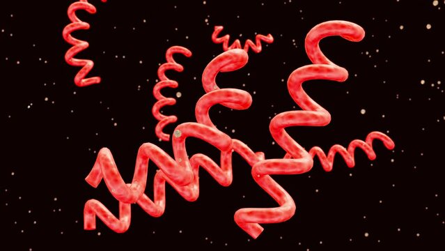 3d animation of Treponema pallidum, the bacteria that cause syphilis