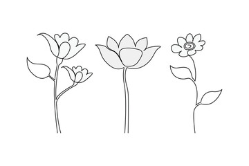 Continuous single-line flowers set, floral, botanical, rose, and minimalist flowers drawing outline art