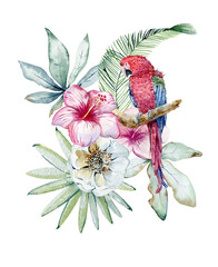 Tropical watercolor illustration with parrot, leaves and flowers. - 752902632