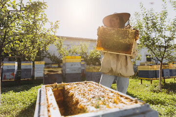 Happy smiling female Beekeeper in protective suit holding honeybee frame with bees at apiary