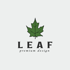 oak leaf logo vintage vector illustration template icon graphic design