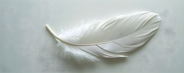 A single white feather gently rests on a pristine white background. Concept Minimalism, Feather, White, Softness, Stillness
