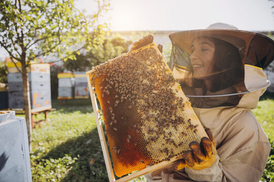Happy smiling female Beekeeper in protective suit holding honeybee frame with bees at apiary - Powered by Adobe