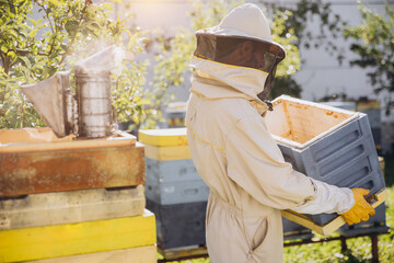 Beekeeper moves a beehive in the garden on a bee farm, beekeeping concept