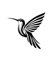 Fototapeta premium colibri or humming bird isolated vector illustration