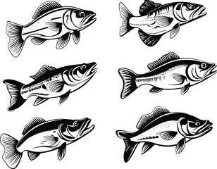 Group of bass fish on white background. Underwater animals. Easy editable layered vector illustration. Generative AI.