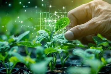 Elegant integration of plant and technology giving a sense of a advanced agricultural technology