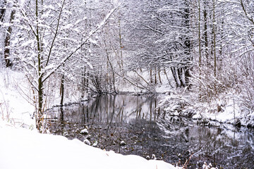 magical and snowy winter in a picturesque park