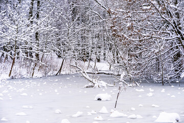 magical and snowy winter in a picturesque park