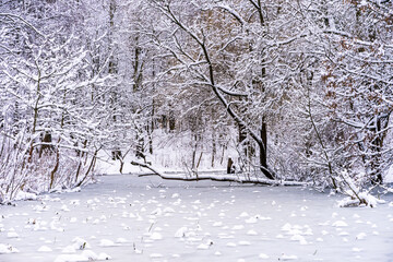 magical and snowy winter in a picturesque park