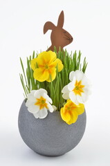 Easter bunny and primorse with grass in pot. - 752927429