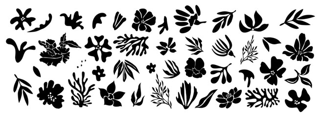 Set of flower and leaves silhouettes. Hand drawn floral design elements, icons, shapes. Wild and garden flowers, leaves black and white outline illustrations on transparent background.