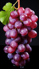 Fresh purple grapes with dew drops on black