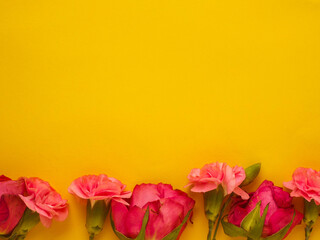 Red rose flowers on a yellow background, copy space, Flat lay design. Love and passion concept