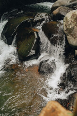 Refreshing Curug Sentul: Clear River Flowing from Waterfall, Surrounded by Forests, Ideal for Nature Lovers
