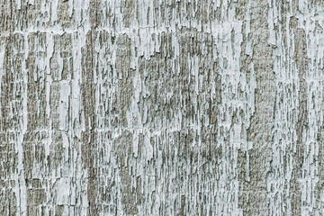 Texture of gray boards.Grey wood texture, wooden background. Wooden surface