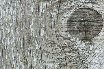 Texture of gray boards.Grey wood texture, wooden background. Wooden surface cut of tree knots