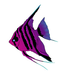 Neon Angelfish. The fish is painted in beautiful neon colors.
