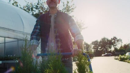 Back view of garden center worker pushing a trolley with plants. Shot with RED helium camera in 8K